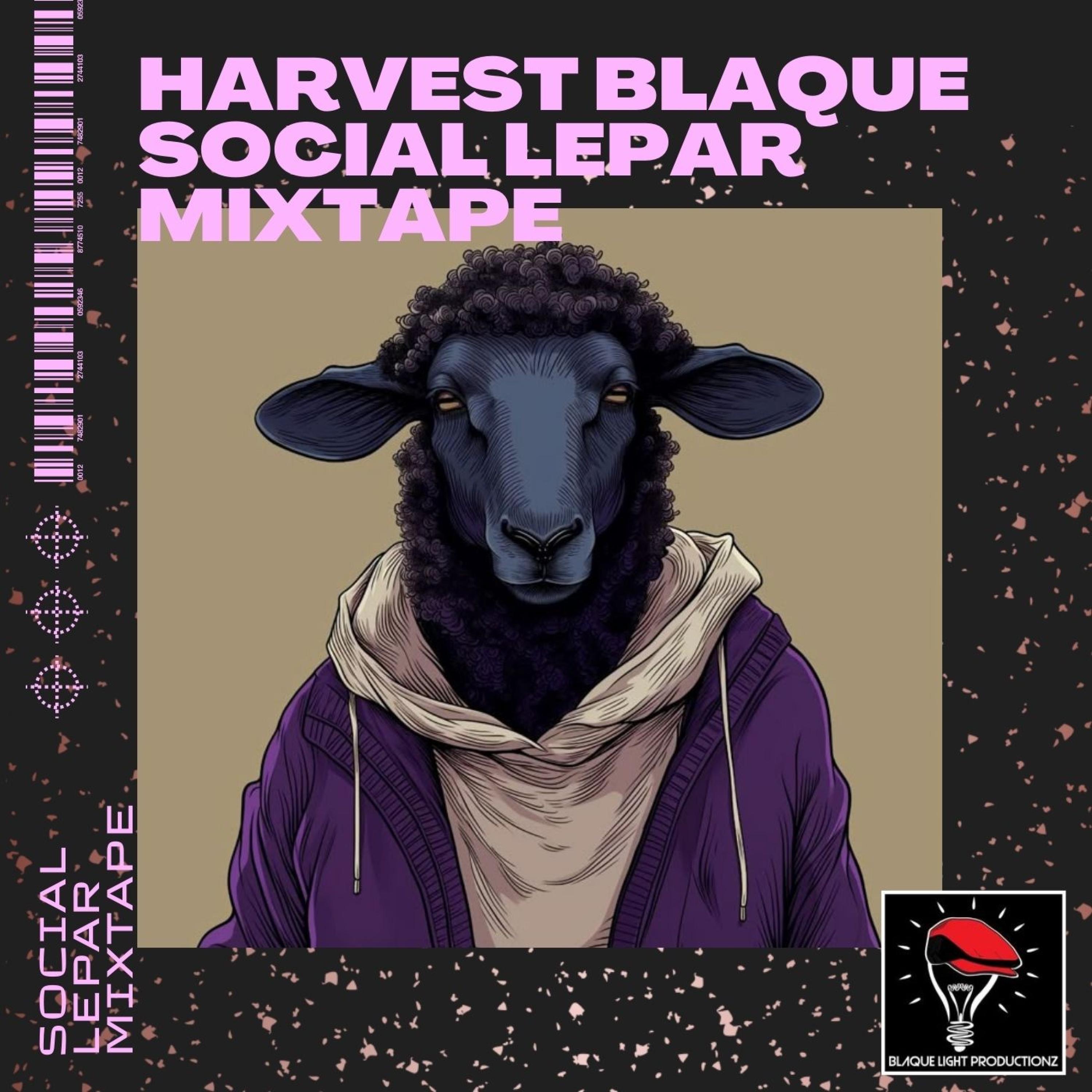 The Social Leper Mixtape