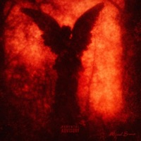 EN LLAMAS (feat. Jack RyaNn & Animal Sounds) - Single - Mijael