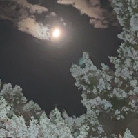 Strangers (feat. CRCL) - Single - 50rain