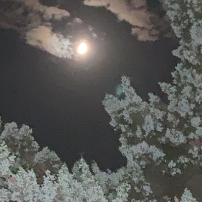 Strangers (feat. CRCL) - Single