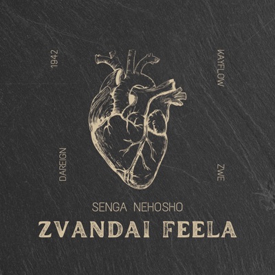Zvandai Feela (feat. Kayflow) - Single