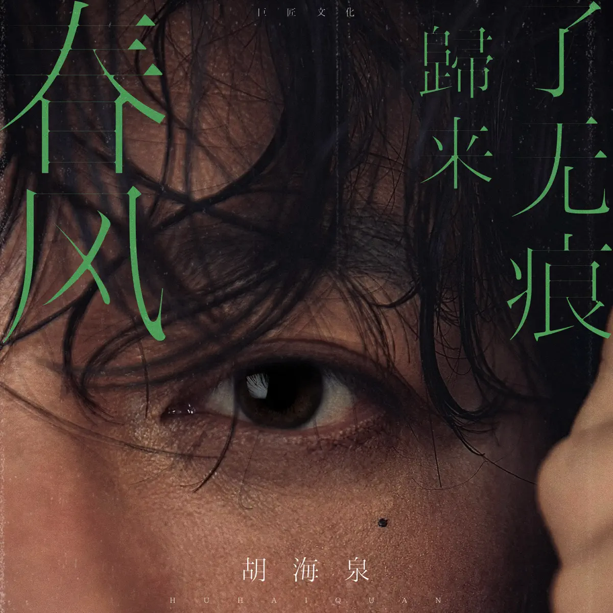 胡海泉 - 春风归来了无痕 (2024) [iTunes Plus AAC M4A]-新房子