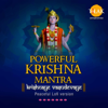 Prateeksha Srivastava & Siddharth Amit Bhavsar - Powerful Krishna Mantra - Krishnaye Vasudevaye Peaceful Lofi Version artwork