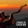 Sonido De Shofar - El Polimata new Single