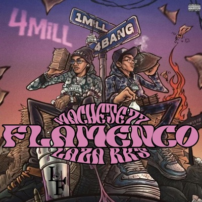 Flamenco (feat. Machete77) - Single