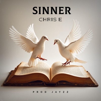 Sinner - Single