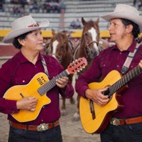 los bravios Oswaldo ayala - maldita trampa