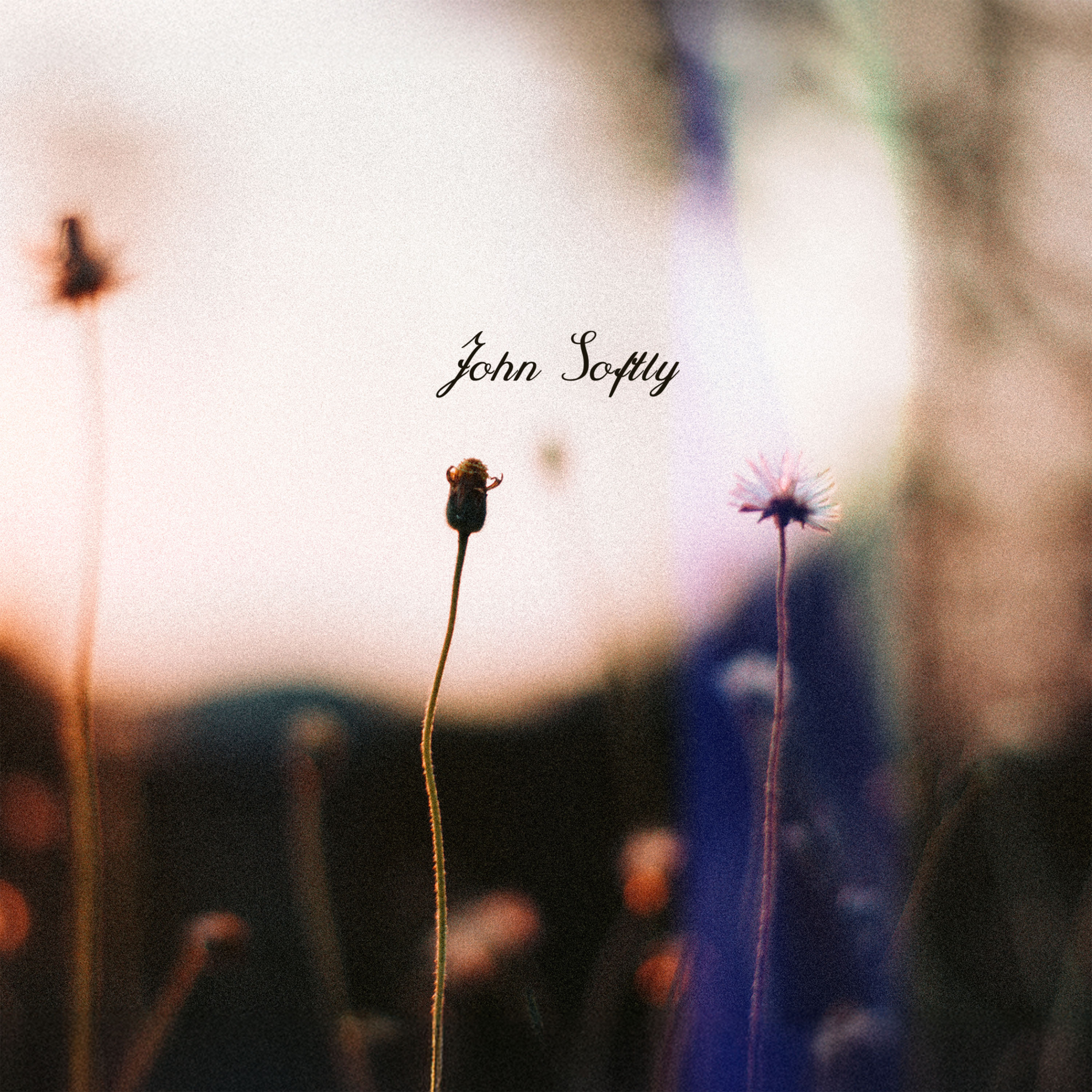 Subway Poems After Midnight