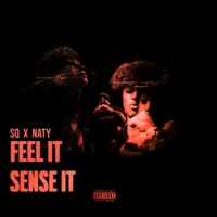 Feel it sense it (feat. Naty) - Single - SQ
