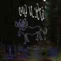 Starfall