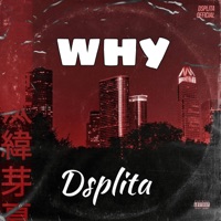 Why (Radio Edit) - Single - Dsplita