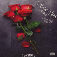 I See You (feat. Ray Ray) [Remix] - Single - IknoMink