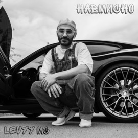 Навмисно Levyy MC