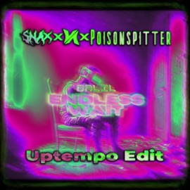 Endless Wait (feat. PoisonSpitter & Snax) VADiANA