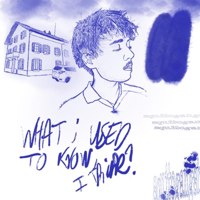 What I Used To Know, I Think? - EP