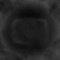 STILL - Single - dazed & 7OHANN