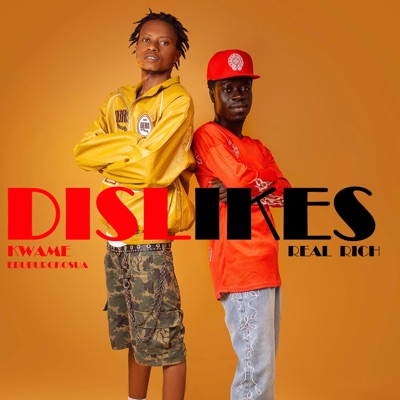 Dislikes (feat. Real Rich) - Single