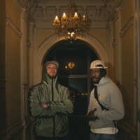 Kann nicht chillen (feat. Kwam.E) - Single - Polarise