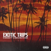 Exotic Trips - Single - Rawood & Bandgang Masoe