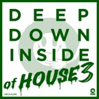 Deep Down Inside Of House 3