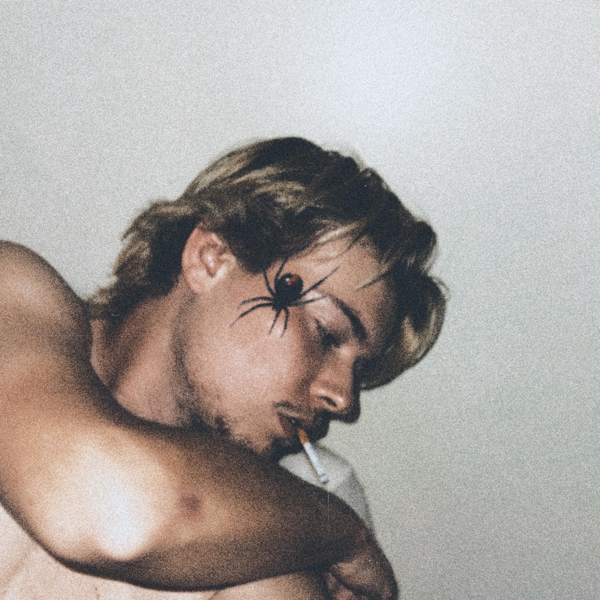 Spider Legs (feat. Plaqueboymax) cover art