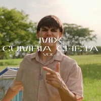 Mix Cumbia Cheta, Vol. 2 - Single - Maxi Languasco