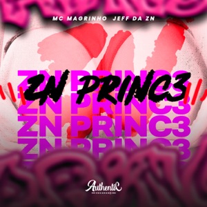 Zn Princ3