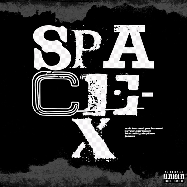 Space X REMIX (feat. Airplane James)