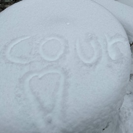 4u(Christmas) Ydk_Court