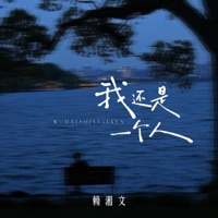 我还是一个人 - Single - 賴湘文