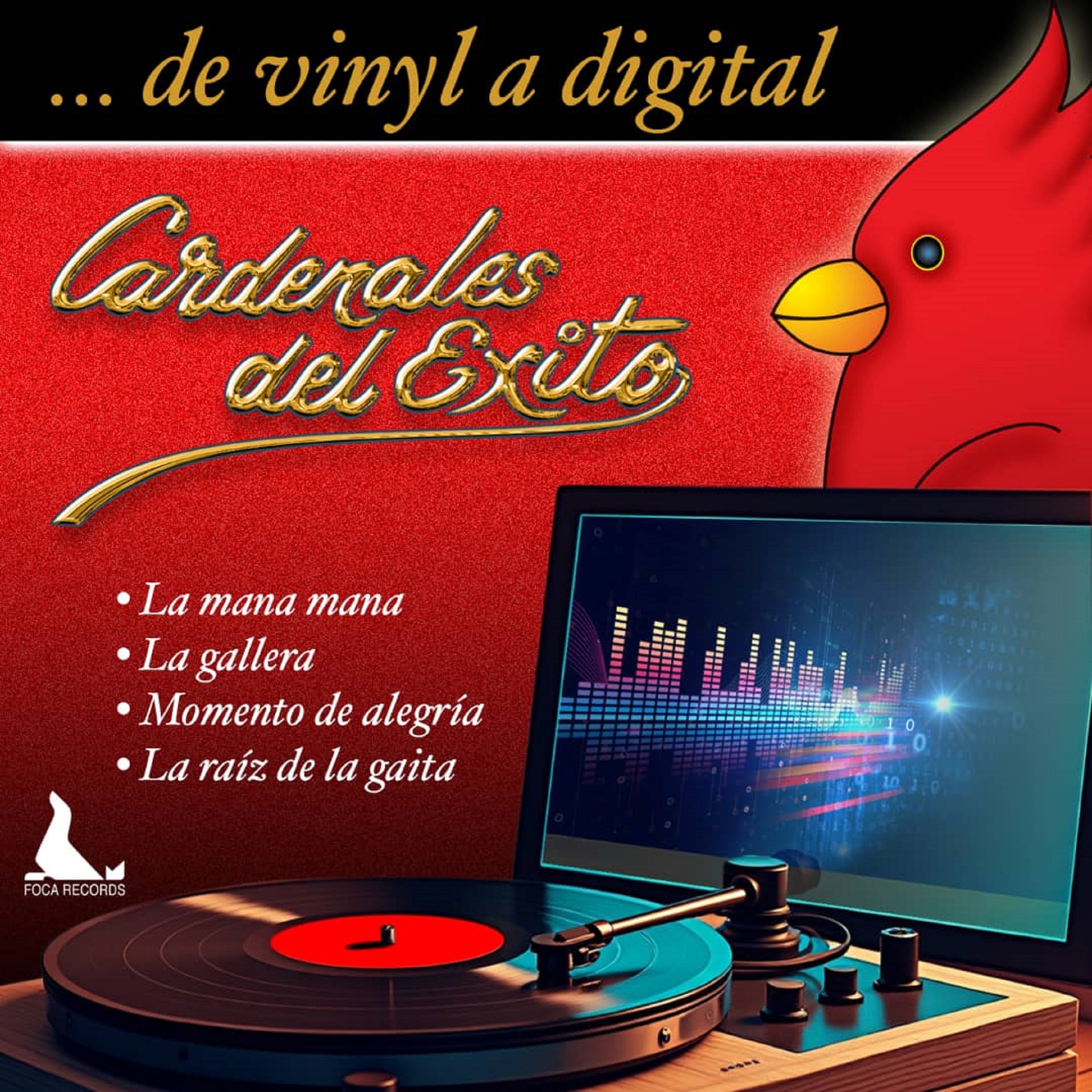 Cardenales del Éxito de Vinyl a Digital