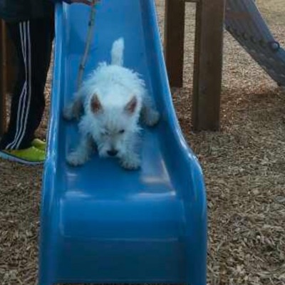 time bomb (feat. qlein) - Single