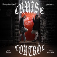 Cruise Control - Single - Prince Dandiwal & 30sideAce