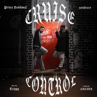 Cruise Control - Single