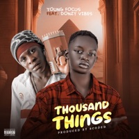 Thousand Things (feat. Donzy vibes) - Single - Young focus