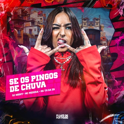 Se os Pingos de Chuva - Single