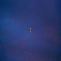 Conscious - Single - Verzache