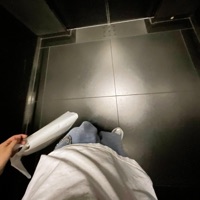 bugs - Single - digifern