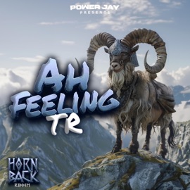 Ah Feeling (feat. TR) Power Jay
