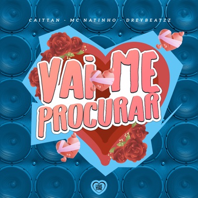 Vai Me Procurar - Single