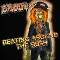 beating around the bush