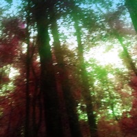 FICTION - Single - burnnt