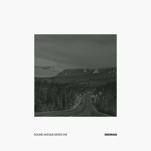 Sound Avenue Mixed 013  Deeinagi (DJ Mix)