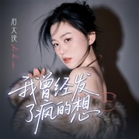 我曾经发了疯的想 (DJ默涵版) - Single - Shi Da Xia
