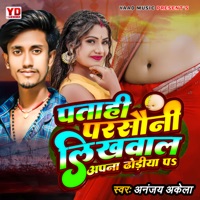 Patahi Parshauni Likhwal Dhodiya Pa - Single - Ananjay Akela