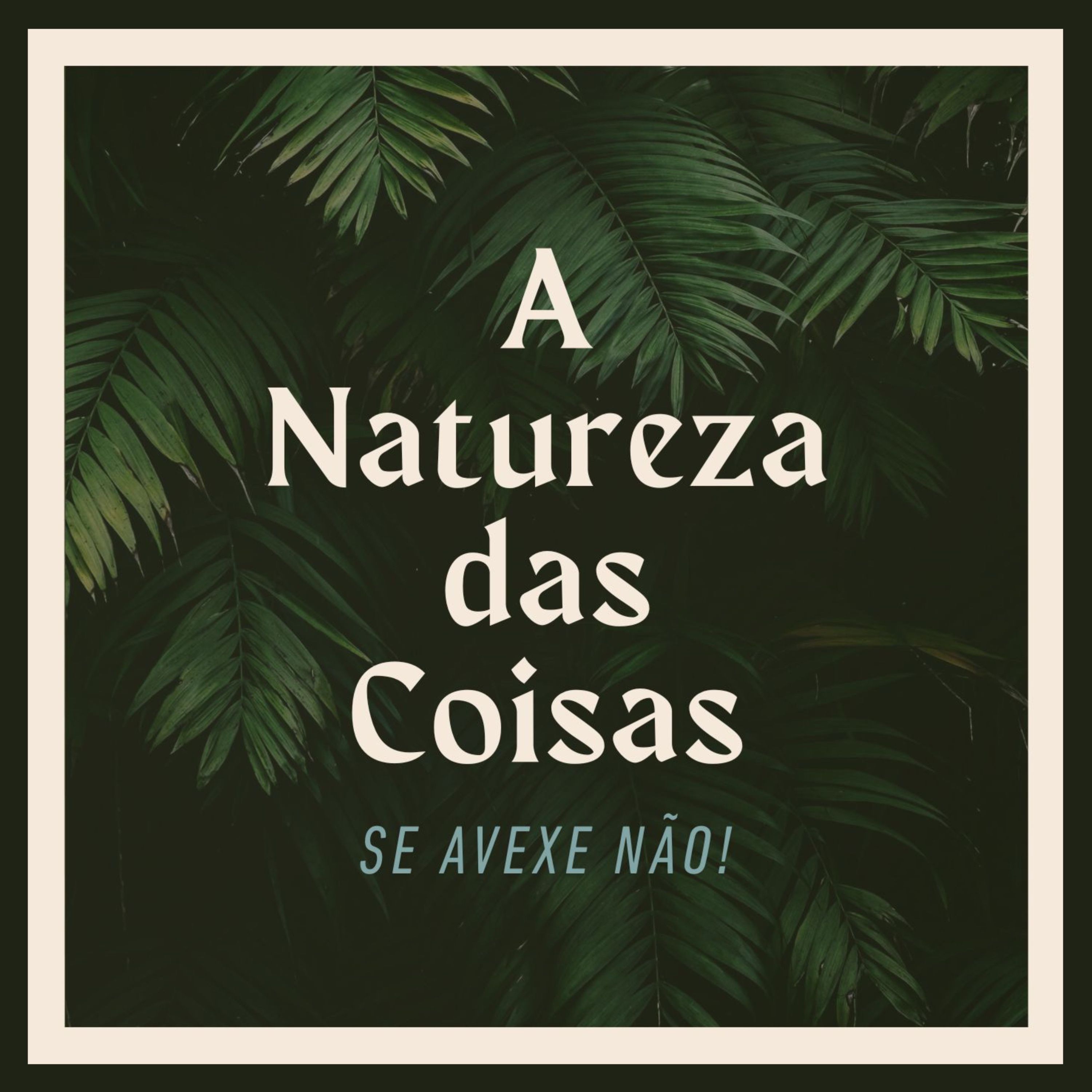 A natureza das coisas - Single