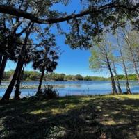 Selfish - Single - Cyril