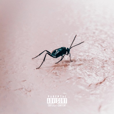 SWARM - Single