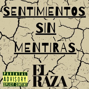 Sentimientos Sin Mentiras