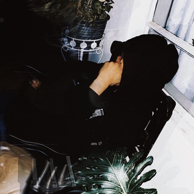 Am i? - Single